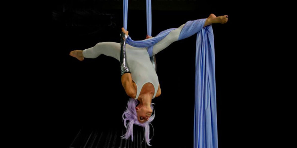 Seattle Aerial Arts